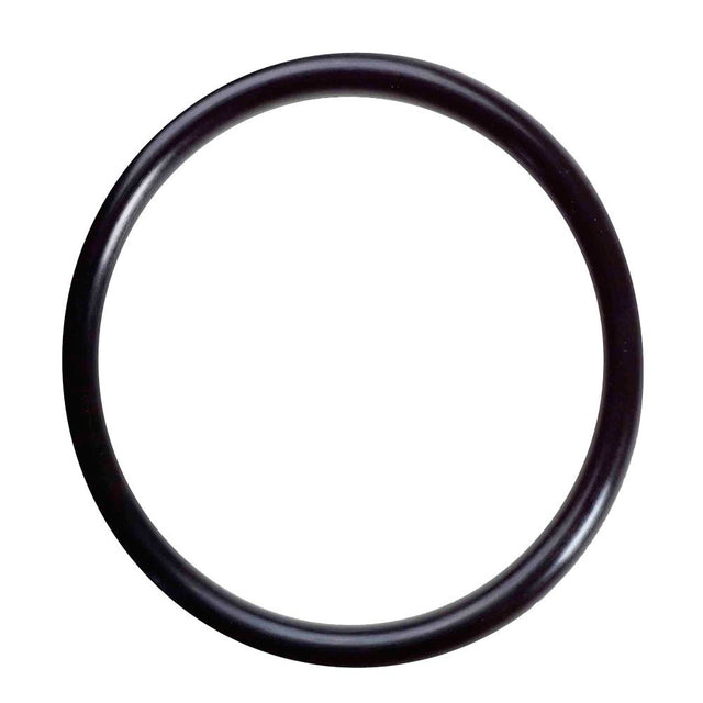 AXEON 4" O-Ring PVC Membrane Housing
