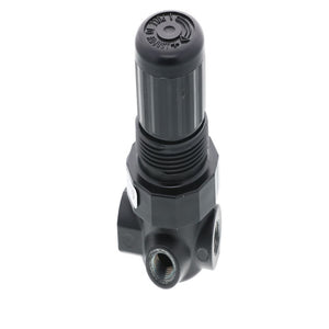 Norgren R07-100-RNTA Relieving Air Pressure Regulator 1/8 FPT