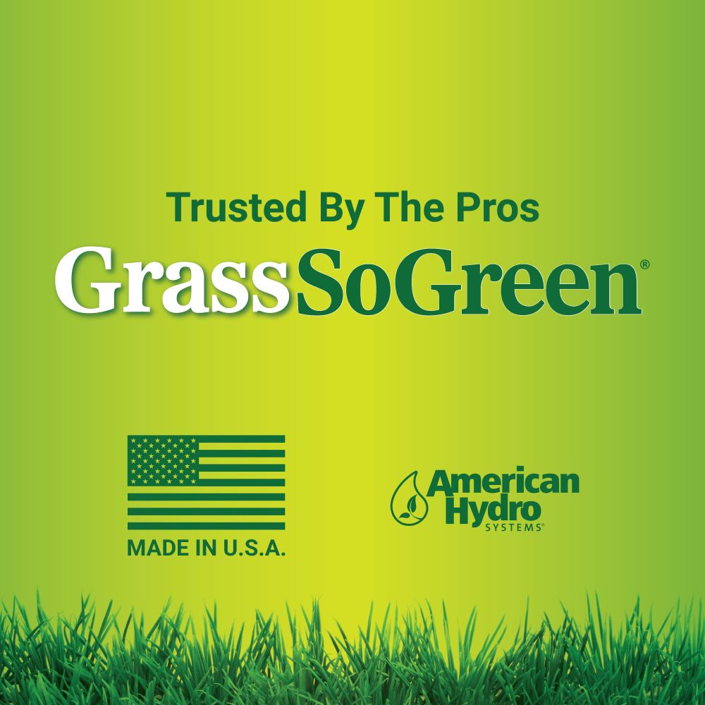 GrassSoGreen 19-0-0 Maintenance Formula Fertilizer 1 Gallon