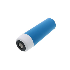 Pentek 155109-43 GAC-10 Granular Activated Carbon Filter Compatible with Costguard CGT-10
