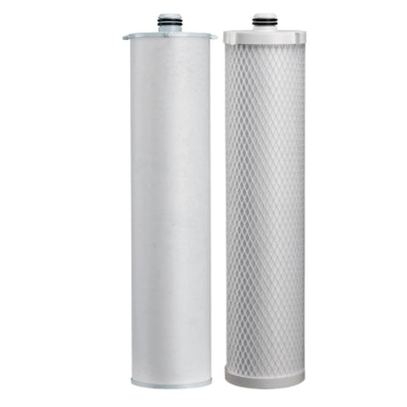 Pentair CC1E & CC3E Cartrdige Set for CB20-302E