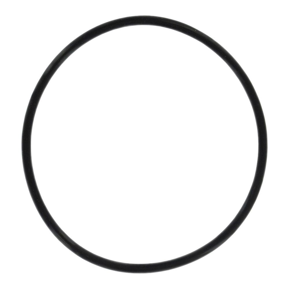 Everpure 143273 O-Ring for CB20 Series Housings