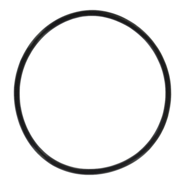 Everpure 143273 O-Ring for CB20 Series Housings
