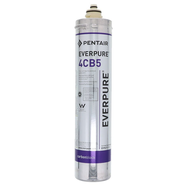 Everpure 4CB5 EV9617-11 Filter Cartridge